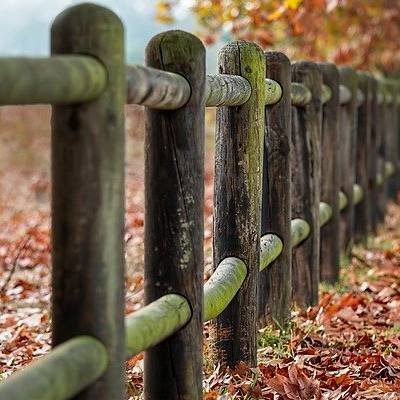 wp_dummy_content_generator_1599.jpg